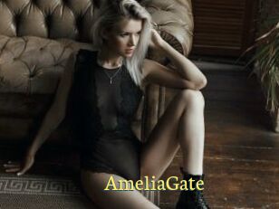 AmeliaGate