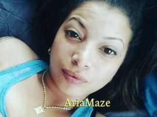 Aria_Maze