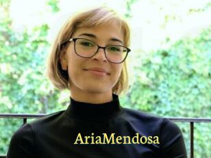 AriaMendosa