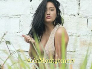 AriaMontgomery