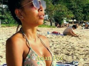 Asian_Fox