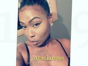 Acacia_rowe