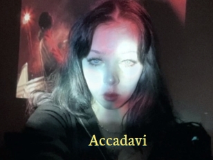 Accadavi
