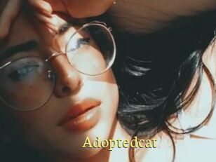Adoptedcat