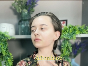 Aftonhase