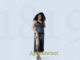 Agnesawuor