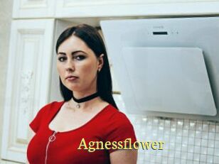 Agnessflower