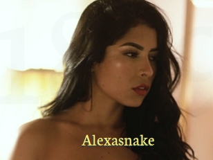 Alexasnake
