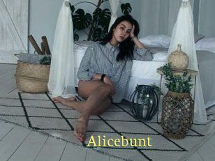 Alicebunt