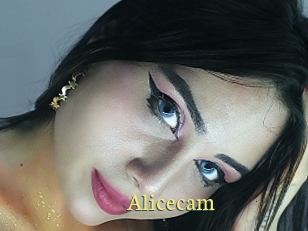 Alicecam