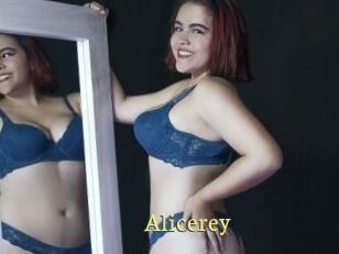 Alicerey