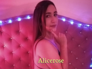 Alicerose