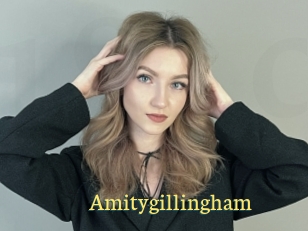 Amitygillingham