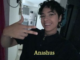 Anashus