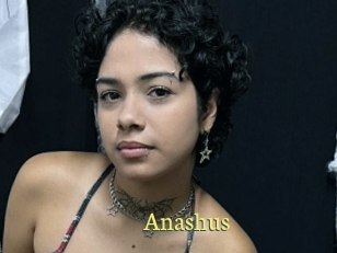 Anashus