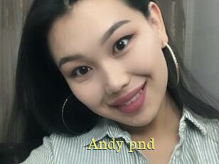 Andy_pnd