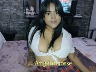 Angelinrosse