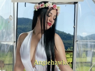 Angiehawker
