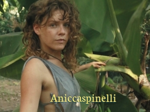 Aniccaspinelli