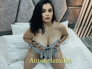 Antonelamiller