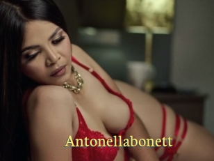 Antonellabonett