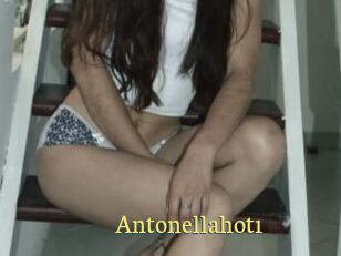 Antonellahot1