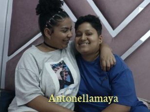 Antonellamaya