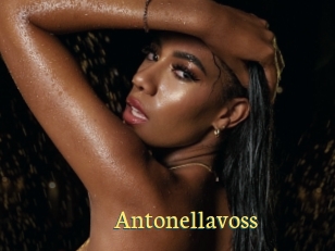 Antonellavoss