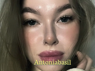 Antoniabasil