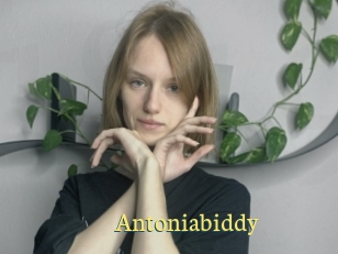 Antoniabiddy