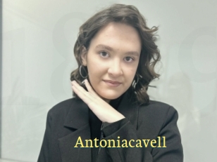 Antoniacavell