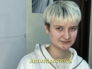 Antoniacowick