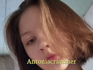 Antoniacrammer