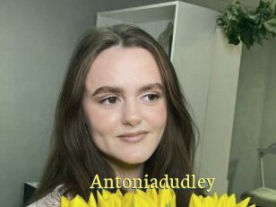Antoniadudley