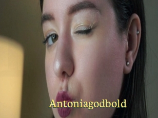 Antoniagodbold