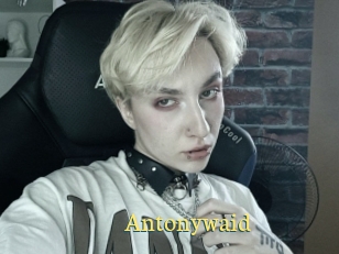 Antonywaid