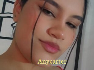 Anycarter