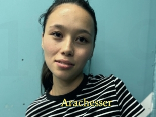 Arachesser