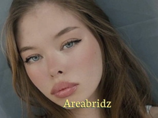 Areabridz