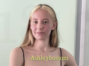 Ashleybossom