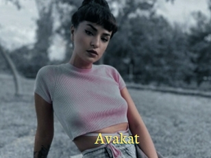 Avakat