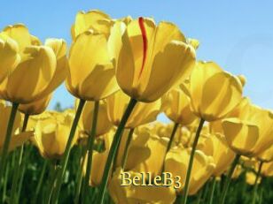 BelleB3