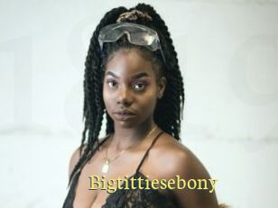 Bigtittiesebony