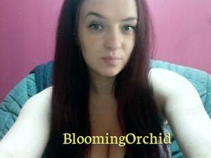 BloomingOrchid