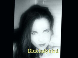 Blueladybird