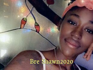 Bre_Shawn2020