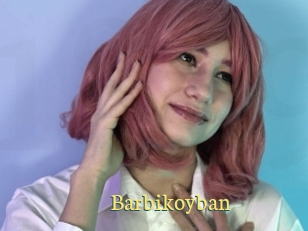 Barbikoyban