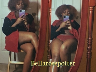Bellarosepotter