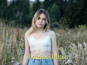 Berniecelittleb