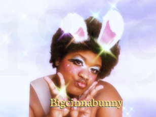 Bigcinnabunny